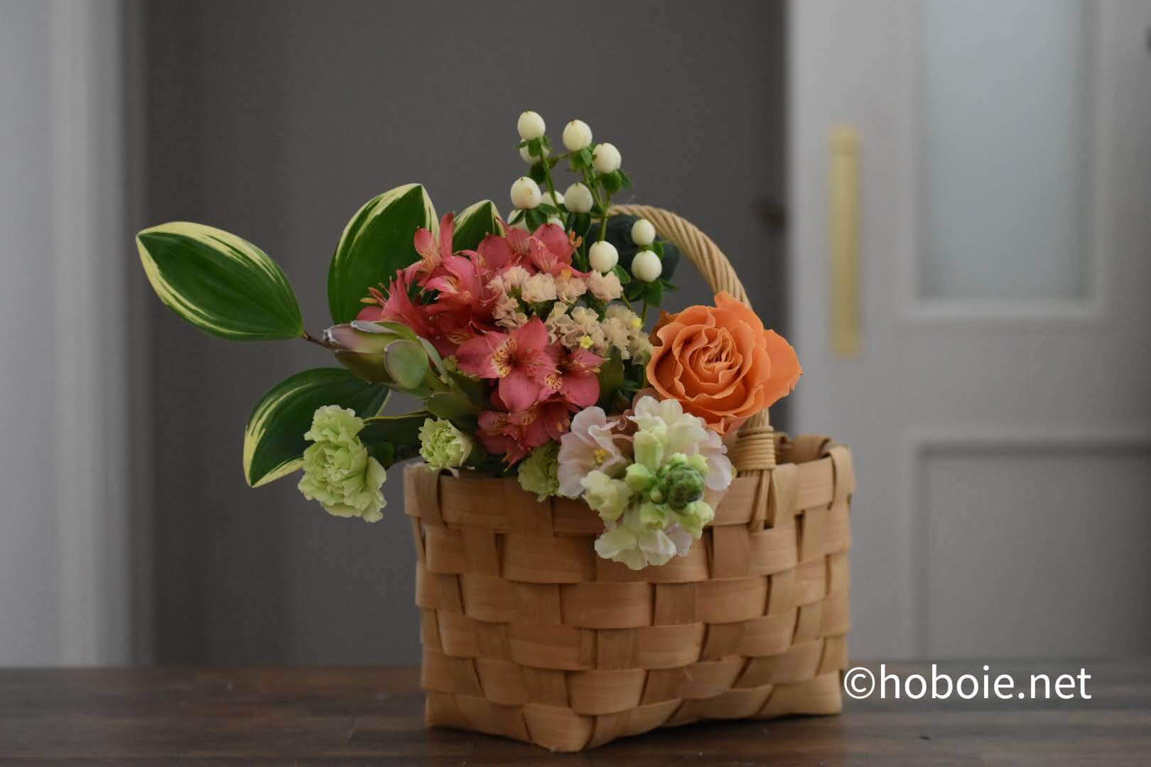 留め金 ブレース バック 花 サブスク おしゃれ アコード 感覚 拘束